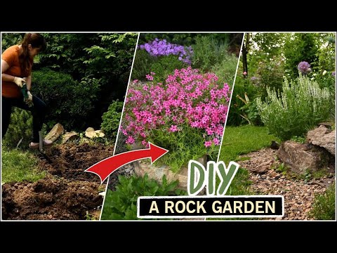 Making an alpine garden bed in one season - from start to finish