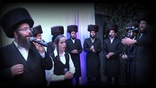 חופה - מקהלת מלכות, תזמורת אורות, יענקי דסקל, דוד פולק | Malchus Choir, Orot Band, Yanky Daskal
