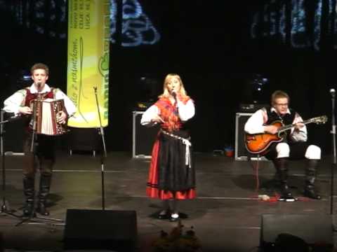 Ansambel Jerneja Kolarja - Ko ljubezen zagori (v živo)