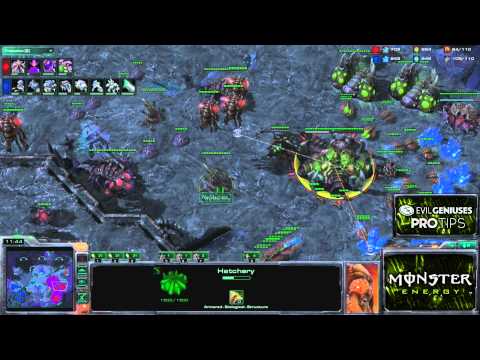 Monster Energy Pro Tips: EG.Machine Shows Ling/Bane/Infestor for ZvT