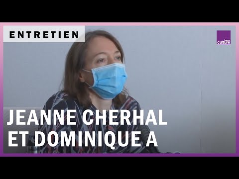 Les Vies étranges de Jeanne Cherhal et Dominique A