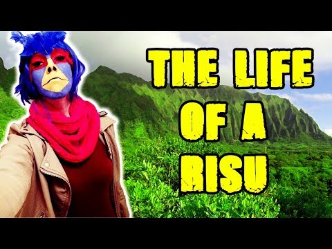 The Life of a Risu (1K Community Special)