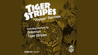 Voyage (Solomun Main)