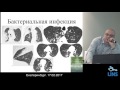 Коротков П.Б. КТ-паттерны наиболее часто встречающихся поражений легких при ВИЧ-инфекции. Коротков П.Б. КТ-паттерны наиболее часто встречающихся поражений легких при ВИЧ-инфекции.