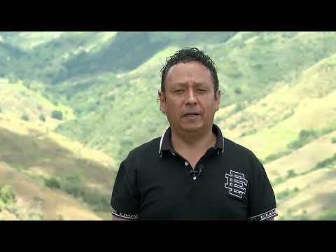 @wilmararielramirezruiz451 @CuentosVerdes 