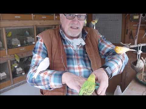 2019 01 24 Hansi 1 und 2 a d arm