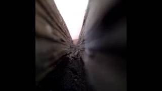 La complainte de franch Matmatah