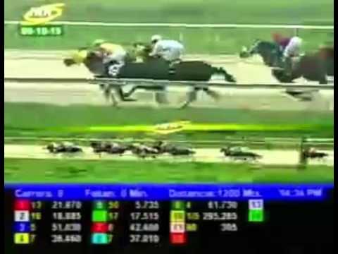 VALENCIA 8 CARRERA, VIERNES 09 DE OCTUBRE DEL 2015