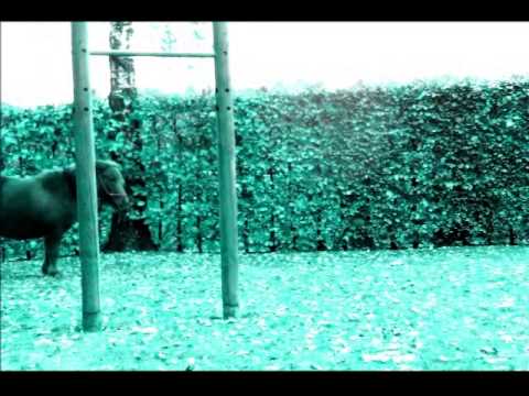 neue Zirkuslekzionen