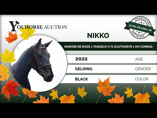 Nikko impressionvideo