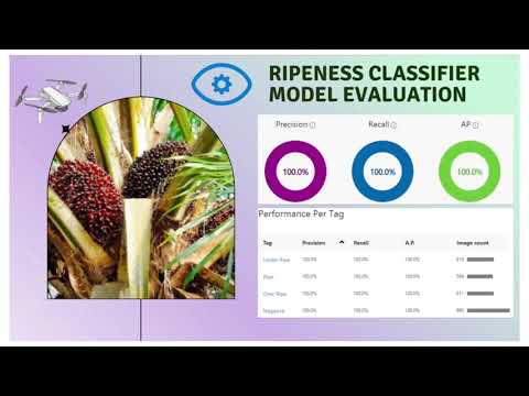 MY209 - Autonomous Drone For Oil Palm Fruit’s Ripeness Detection With Cloud Analysis
