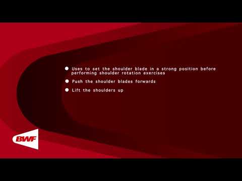 CE2M8V60 - Exercices avec élastiques - Mobilisation de la clavicule