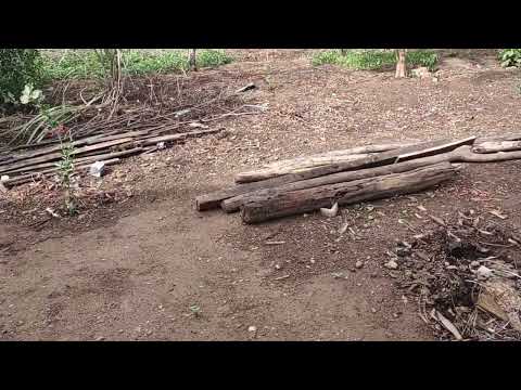 4 de janeiro de 2026