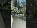 What Happens To The Suspension Shorts