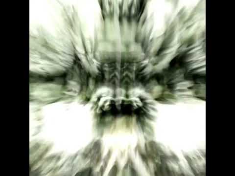 Thee Children Of Perpetual Love