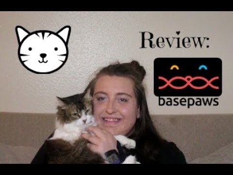 Review: Base Paws (Cat DNA Testing)