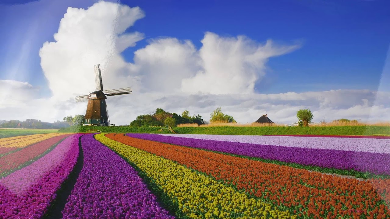 <h2>Papel Fotográfico Brilhante FUJIFILM</h2>