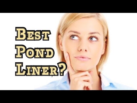 Pond care: how to choose the best pond liner