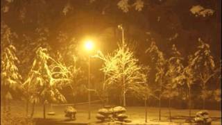 어느째즈바- 터보