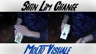 TUTORIAL: Shin Lim Color CHANGE A 4 Carte [VISUALE]
