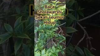 Download lagu Read this prayer once in your life #motivation #prayer mp3