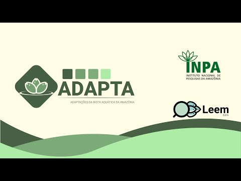 Projeto ADAPTA II - Documentário 2019