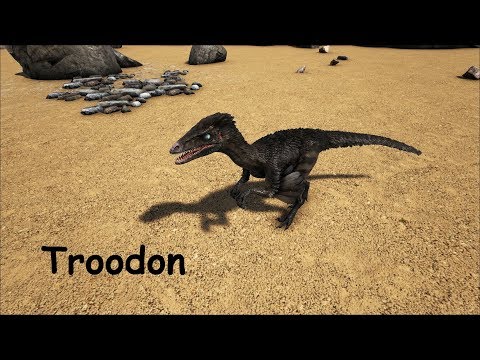 Ark | Let's Tame Troodon Solo | Deutsch/German