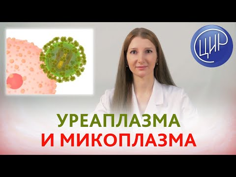 gyógyszer az emberi test férgei ellen férgek kezelése gyermekeknél