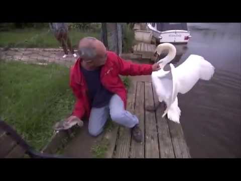 Top Buzz60 Moments September 2014