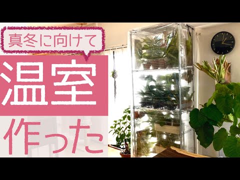 予想される霜を防ぐミニ暖房温室の作り方は？苗を準備する時期が来ました！  庭園