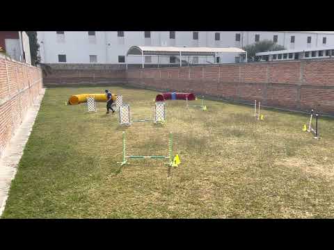 Kira Marisol  Fast&Fun 36X85 Dec21