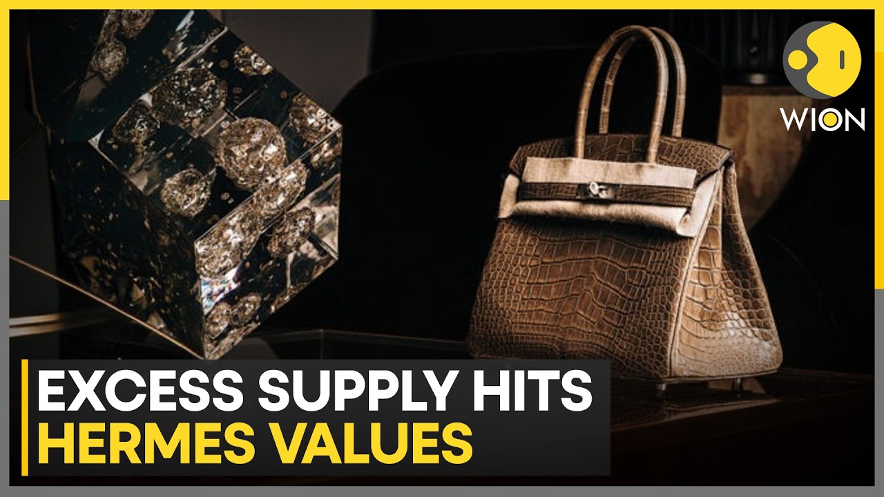 Hermes Birkin Bags Resale Prices Drop Over $6,000 From Peak | WION News