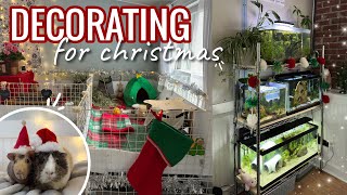 Decorating my Pets Enclosures for Christmas