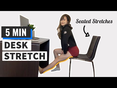 5 min Seated Desk Stretches - Full Body Stretches at your Desk!