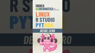 La Evolución del Internet #excel #tips #python #programming #tips #rstudio #datascience #programming