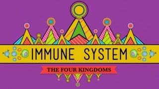 Your Immune System: Natural Born Killer - Crash Course Biology #32