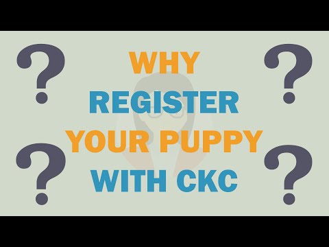Why Register Your Puppy with Continental Kennel Club?