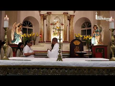 SANTA MISA | Miercoles IV de Pascua: Unidos al Señor con todo empeño.