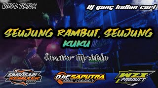 Download lagu DJ SEUJUNG RAMBUT SEUJUNG KUKU - TITIP CINTA YANG SEDANG VIRAL PALING MERDU mp3