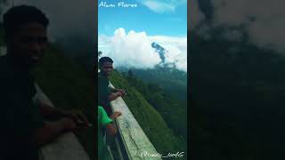 preview picture of video 'Alam Flores by Rendy'