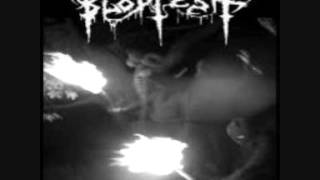 BLODFEST \