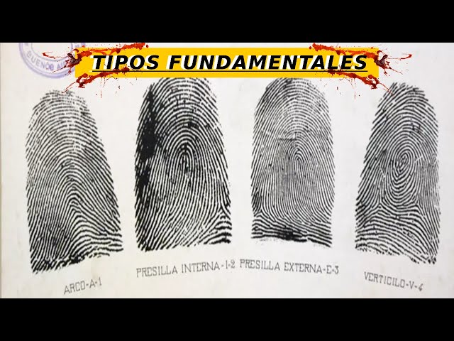 Vídeo relacionado con Hisopo de huellas dactilares, accesorios de laboratorio, reconocimiento preciso, material absorbente, fácil de usar, compatible con diferentes superficies, ideal para análisis forenses, calidad
