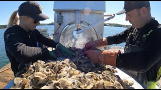 The Story of Bar Harbor Oyster Company