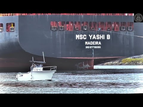 Shipspotting LOS ANGELES Port 4K - April 2023