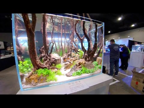 Oase' / Aqualife Gallery : 5 Minute Montage