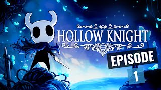 Hollow Knight 