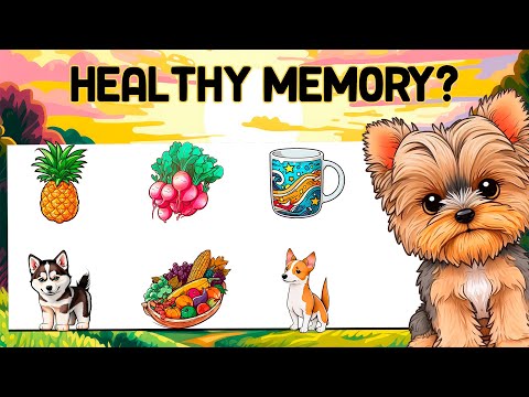 Think You Have a Good Memory? Test It with these 13 Challenges! | WIKIFUN