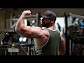 ARMS & CHEST | IM BACK