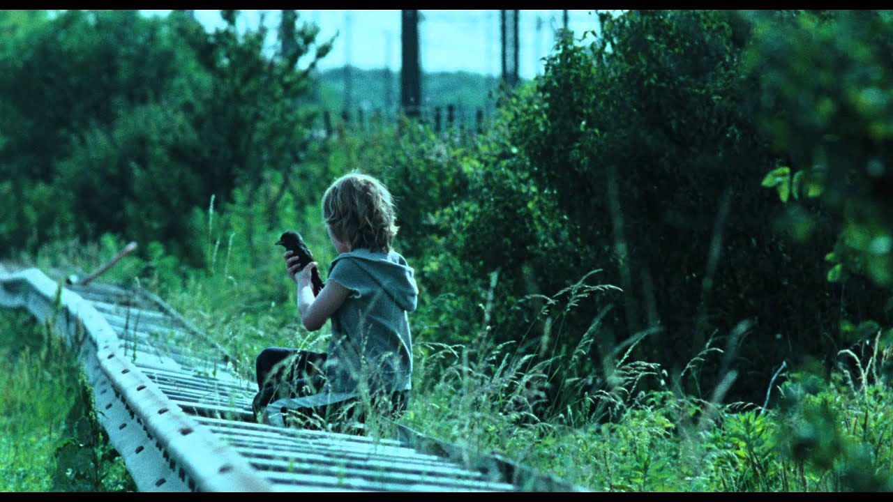 LITTLE BIRD - bande annonce VF