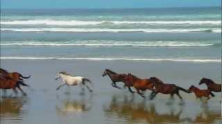 Kanta ko - Bigshockd and Acinom of LPC hustla Ft. Hambog ng Sagpro new Rap song 2011 Wildlife.wmv